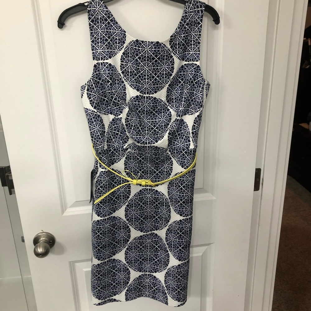the Limited A-line dress